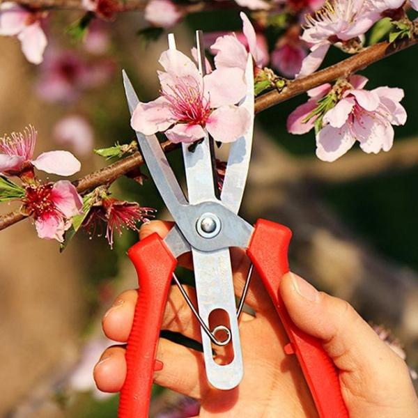 쌍칼 원예가위 전지 전정 나무 과수원 정원 조경가위