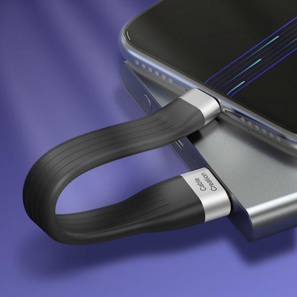 USB 타입 CtoC 고속충전케이블 FPC 숏케이블