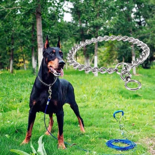 강아지목줄 초크체인 반려견 체이줄 산책 3.0mmx50cm