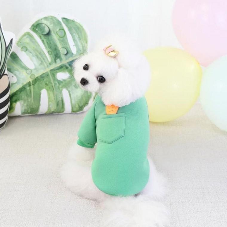 강아지 맨투맨 티셔츠 방한 옷 애완견 당근티 강아지 방한옷 패션 겨울