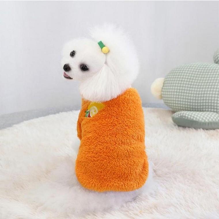 강아지 겨울옷 과일옷 방한 보온털 패션 방한옷 컬러티 옷 애완동물의류