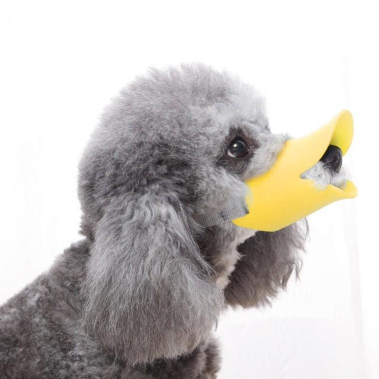 강아지 실리콘 입마개 소형견 훈련 마스크