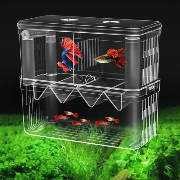 구피 열대어 부화통 번식함 격리통 치어통 대형 2칸