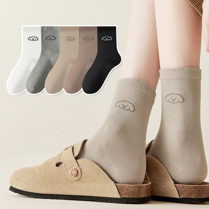 댕댕이 얼굴 양말 5color 1set /여성양말세트 중목패션양말