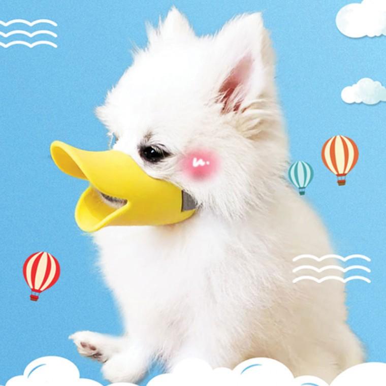 강아지 실리콘 입마개 짖음방지 애완견 반려견 오리입마개 산책 외출용 줄조절 개입마개 애견용품