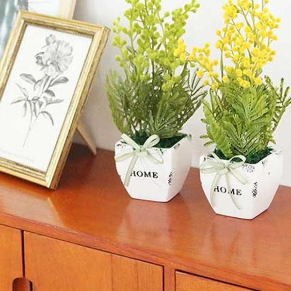 도자기 화분에 담긴 보송보송 뽀송 홈 화분