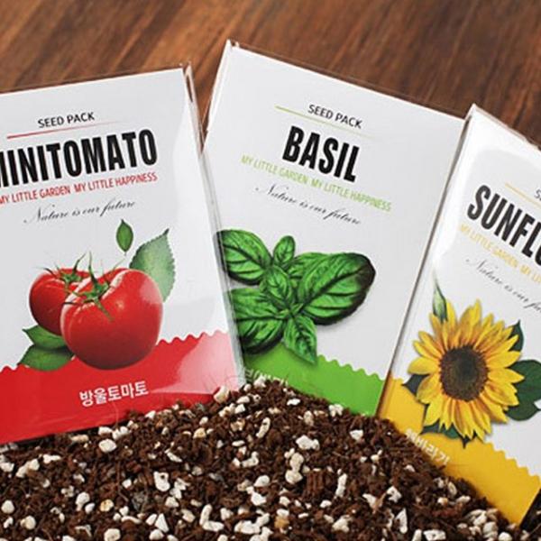 홈가드닝 반려식물 씨앗 모종 10팩