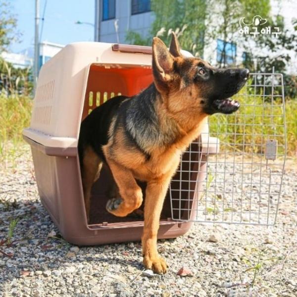 대형견 켄넬 바퀴 배변판 밥그릇 포함 XL