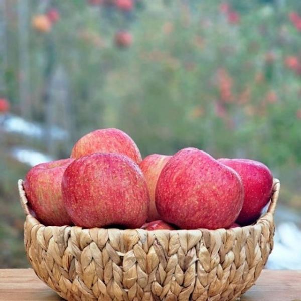 밀양 얼음골사과 3kg / 정품 / 대과 / 9과 내외