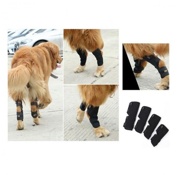 강아지 롱 다리보호대 2개입 밴드 보조기 슬개골 탈구