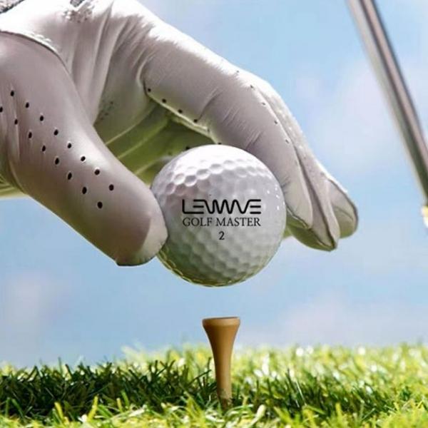 골프공 필드용 2피스 고반발 비거리 전용 10P
