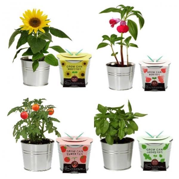 식물인테리어 캔화분 DIY 재료 모음