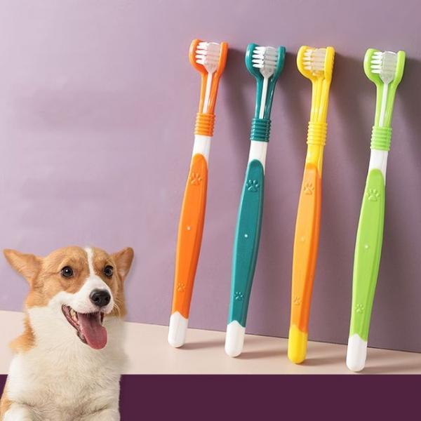강아지 3면 칫솔 3개입 고양이 반려동물 구강청결