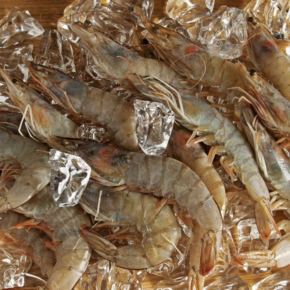 [HM] 고소하고 담백한 신안 급냉새우 1kg (25~35미)