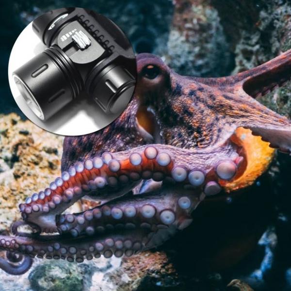 헤어밴드 해루질헤드랜턴 조개 문어 해루질 ipx8