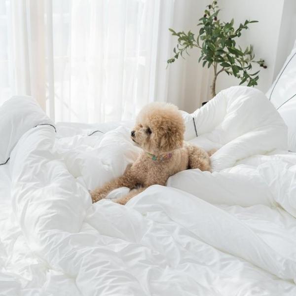 알러가드 호텔 침구세트SS (이불1+패드1+베개커버1)