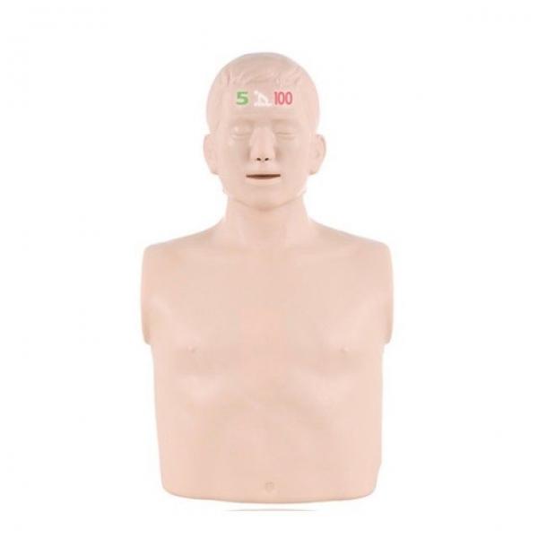 CPR교육용마네킹 누르고 기본형 B100