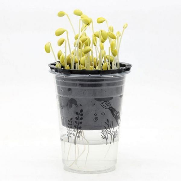 홈가든 콩나물기르기 콩나물키우기 키트