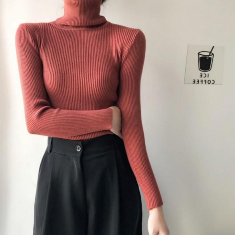 여성 터틀넥 니트 골지 목폴라 목티 기본 긴팔 니트티 겨울 필수템