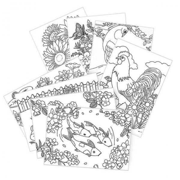 시니어 컬러링북 437828