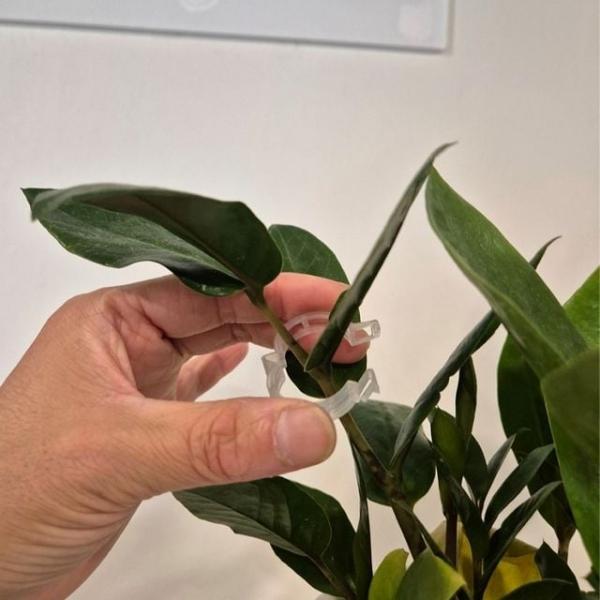 화분 식물지지 클립 타이 50개 1세트