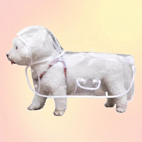 강아지 비옷 레인코트 판초 개비옷 소형견 투명 산책