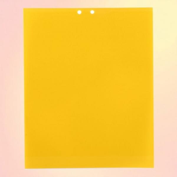 초파리 퇴치 끈끈이 테이프 날파리 트랩 초강력 양면