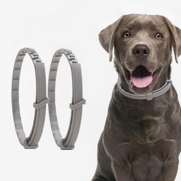 강아지 고양이 모기 벌레 제거 목걸이