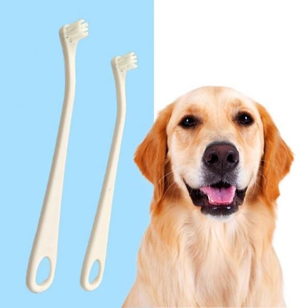 키밍 반려동물 칫솔 강아지 고양이 구강관리 애견칫솔