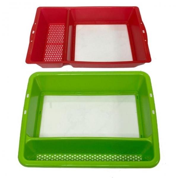 다슬기 수경색상랜덤민물 계곡