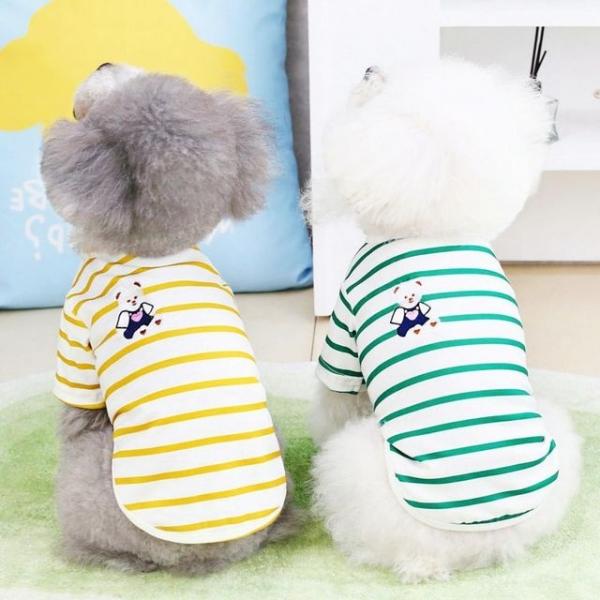 애견옷 하트곰 티셔츠 강아지옷 스트라이프 반팔