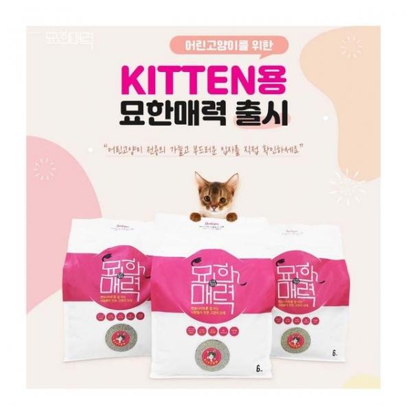 묘한매력(어린고양이용)자극없는모래냄새싹먼지노