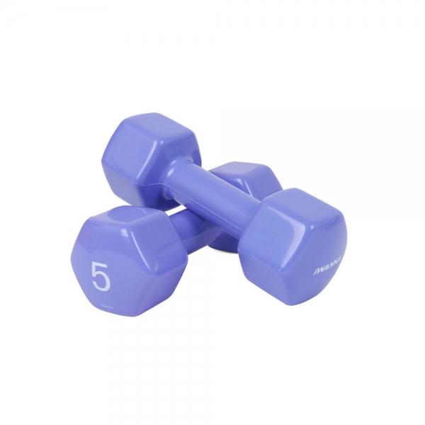아이워너 뷰티 육각 덤벨 아령 5kg 블루베리 2개