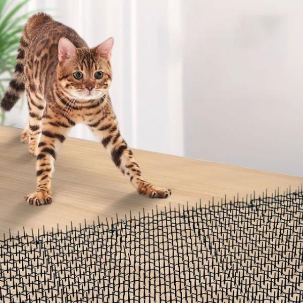 고양이 비둘기 퇴치시 캣버드 스파이크(6개입)