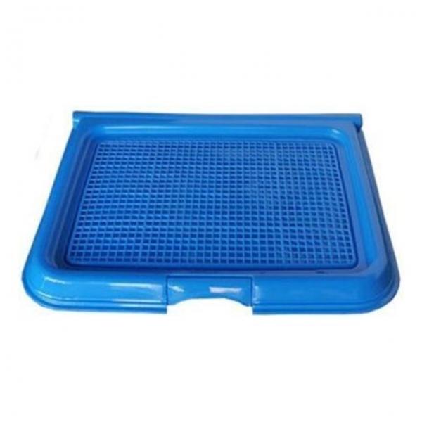 반려동물 배변판 T3s(블루)배변패드 애견패드