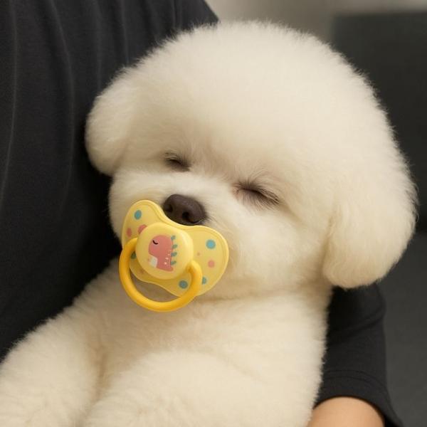강아지 쪽쪽이 치발기 장난감 애견 용품