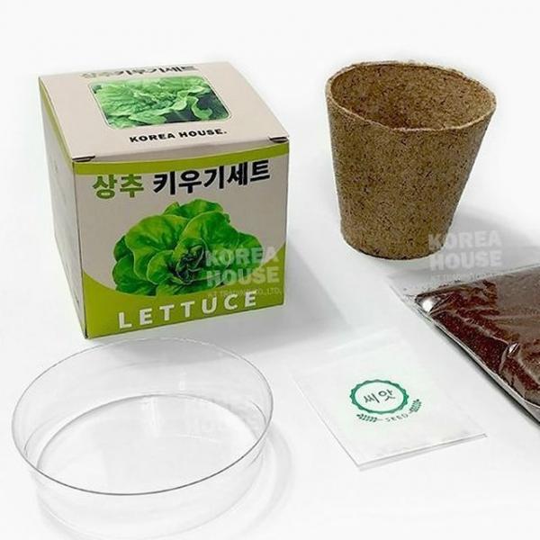 자연관찰 상추 키우기 세트 4P 텃밭 농사 식물 키트