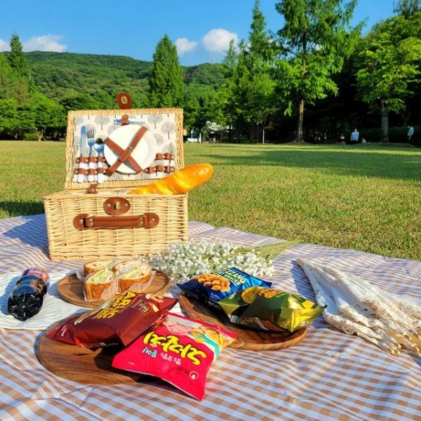 집자랑 돗자리 피크닉 야외 돗자리 200x200