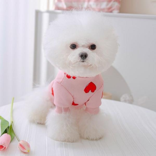 강아지옷 러블리 하트 핑크 티셔츠