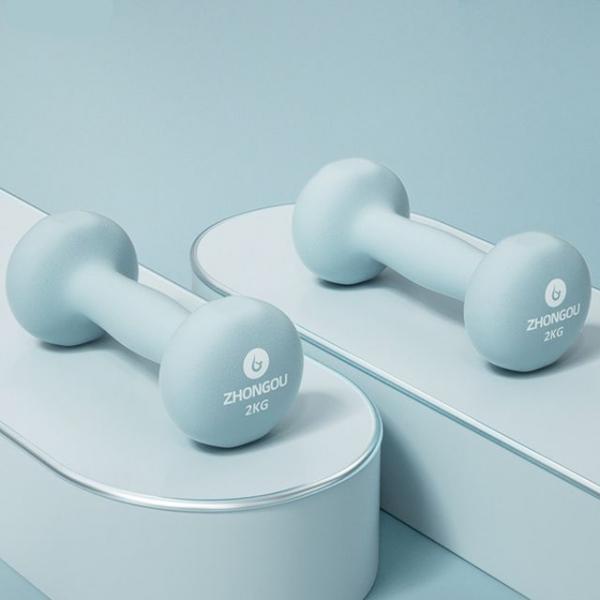 아령 덤벨 홈트레이닝 웨이트 아령 2kg 2개 1세트