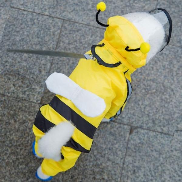 꿀벌 우비 강아지옷