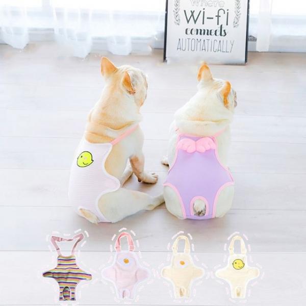 키밍 강아지 생리팬티 암컷 반려동물 위생팬티 6컬러