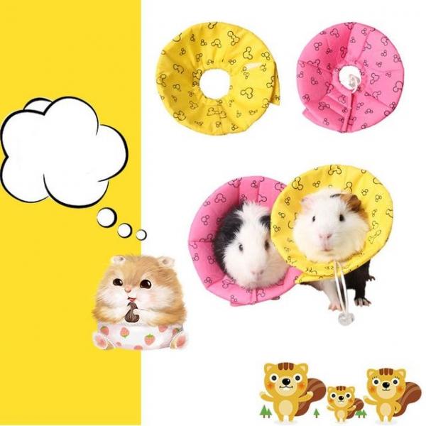 키밍 토끼 넥카라 깔대기 목카라 애완동물 돼지 쁘띠