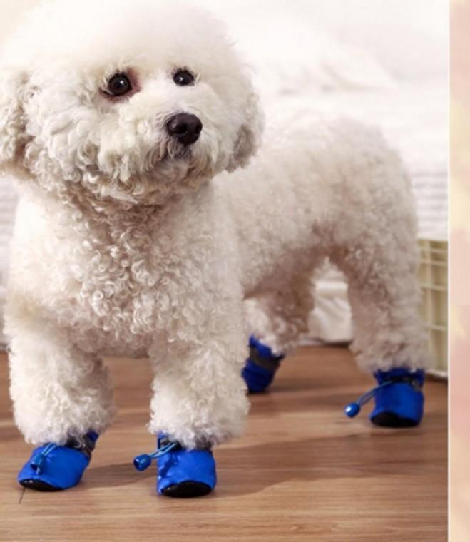 슈즈 강아지 4P 부츠 털신발 산책 애견신발 겨울양말 애견 털