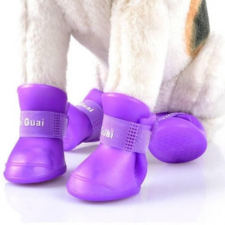 강아지신발 라텍스부츠 애견산책슈즈 댕댕장화 개양말