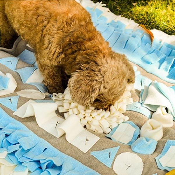 심플 노즈워크 패드 2종 간식숨기기 강아지 놀이 매트