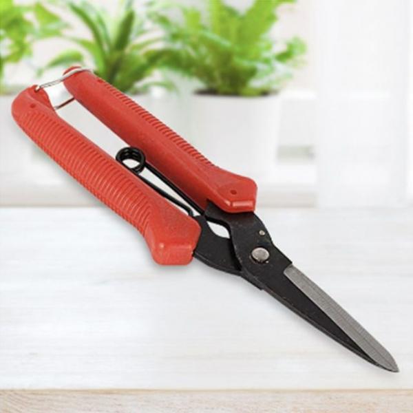 접목가위 전지가위 전정 접붙이기