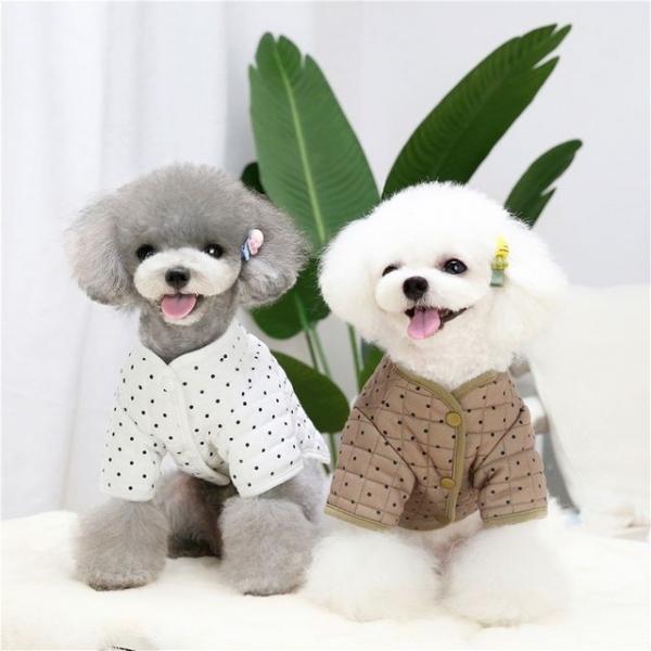 (BND-W02) 미니도트 패딩 강아지패딩