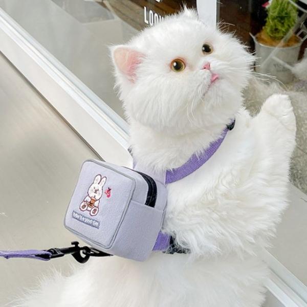 반려동물 백팩 하네스 리드줄 L 강아지 고양이산책