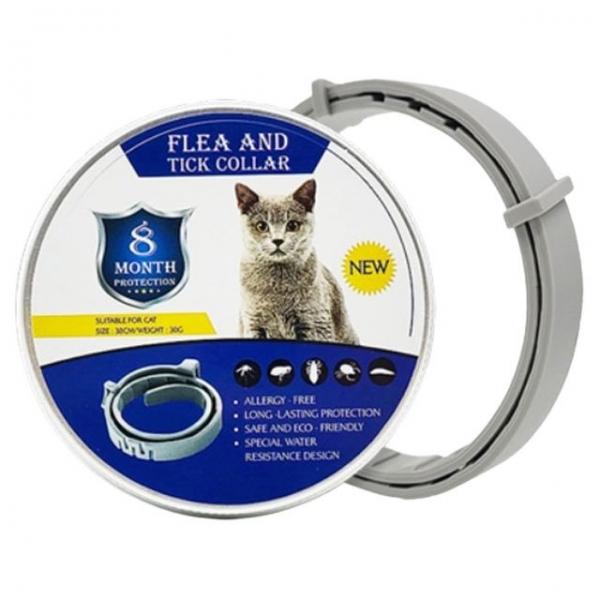 여름 산책 해충방지 목걸이 S 1P 반려견 고양이 목줄
